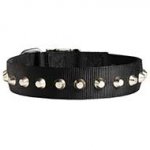 Fashion Nylon Dog Collar with Nickel Pyramids for Everyday Walking