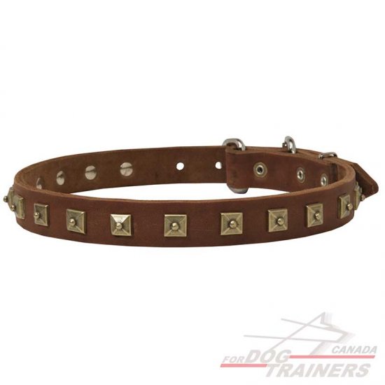 Leather Dog Collar with Dotted Studs for Walking and Training