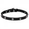 "Cosmic Stars" Narrow Leather Dog Collar with Chrome Plated Studs - 4/5 inch (20 mm) wide