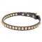 Necklace-like Narrow Leather Dog Collar with Brass Studs - 4/5 inch (20 mm)