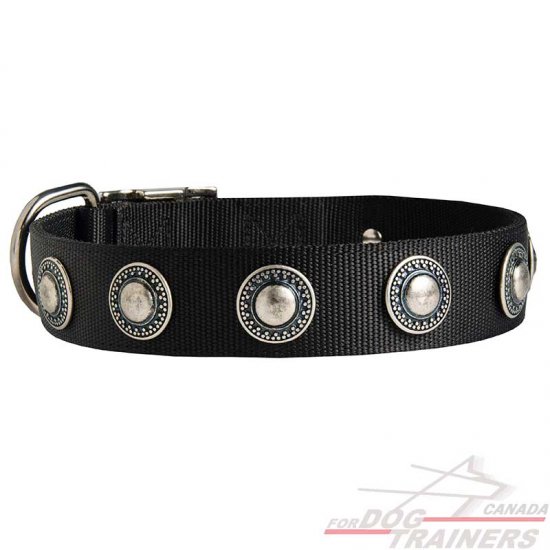 Fashion Nylon Dog Collar with Silvery Conchos for Walking and Training