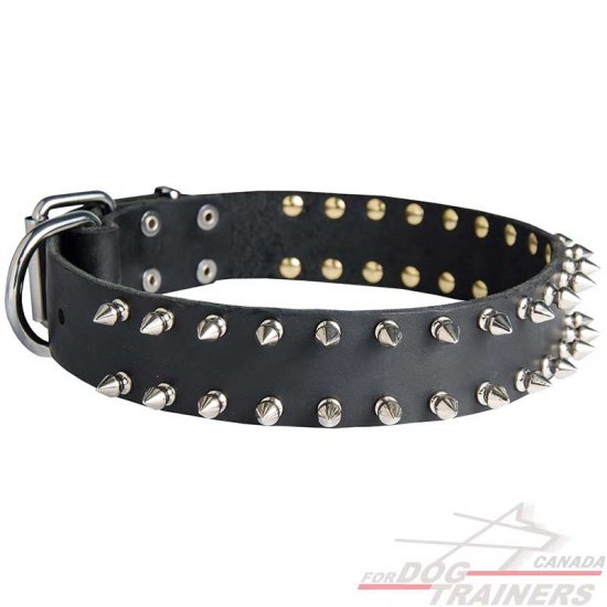 Great Decorated Leather Collar To Treat Your Doggy With Style