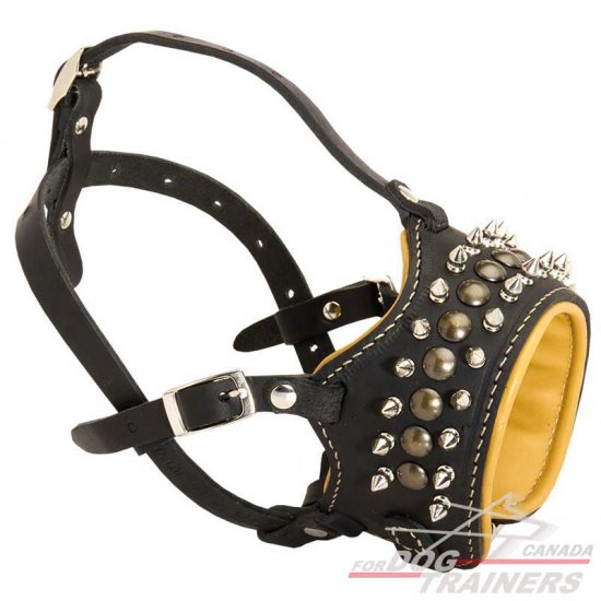 Nappa Padded Leather Dog Muzzle for Daily Walking