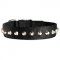 Fashion Nylon Dog Collar with Nickel Pyramids for Everyday Walking