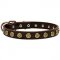 Decorated Leather Dog Collar For Stylish Walking
