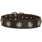 Exclusive Design Leather Wide Dog Collar