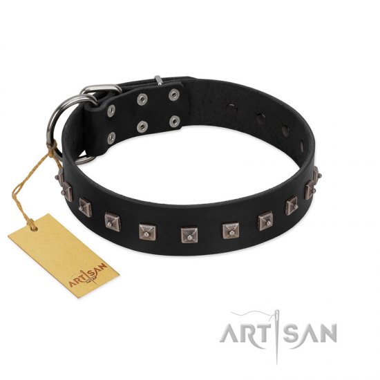 "Natural Beauty" Premium Quality FDT Artisan Black Designer dog Collar with Dotted Studs