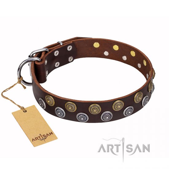 Leopard dog sales collars and leashes