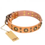 'Sophisticated Glamor' FDT Artisan Tan Leather Dog Collar with Old-Bronze Plated Decorations