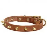 Walking Leather Dog Collar Equipped With Gold-Like Decoration