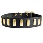 Functional And Fashionable Leather Collar For Your Canine