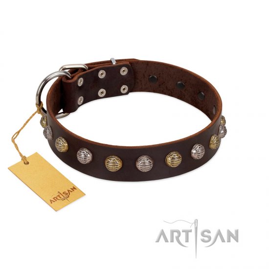 "Gape Buster" FDT Artisan Brown Leather dog Collar with One Row of Studs