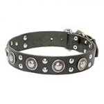 Gorgeous 'Rock n Roll' Leather Dog Collar With Mix of Decorations