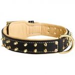 Nappa Leather Padded Spiked Dog Collar for Walking and Training