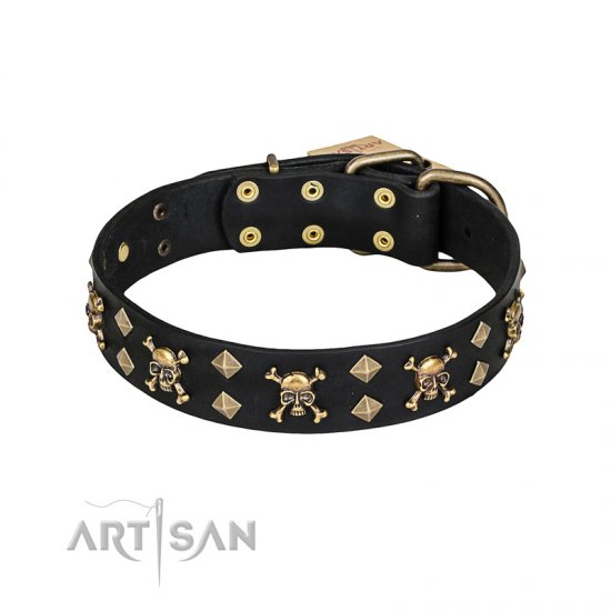 Skull dog shop collars and leashes