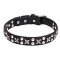 Posh Leather Dog Collar "Planets and Stars" with Chrome Plated Fittings 1 1/5 inch (30 mm) Wide