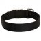 Walking and Training 2 Ply Nylon Dog Collar