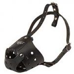 Well-ventilated Everyday Leather Dog Muzzle