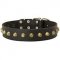 Leather Dog Collar Decorated With Brass Pyramids
