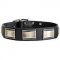 Wide Leather Dog Collar with Massive Nickel Plates