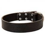 Classic Leather Dog Collar for Walking and Training - 40 mm Wide