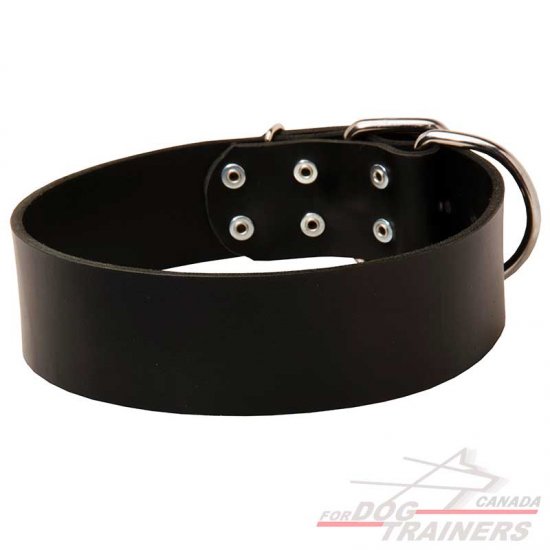 Extra Wide Leather Dog Collar for Walking and Training - Click Image to Close