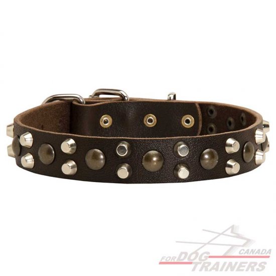 Leather Dog Collar with Studs and Pyramids