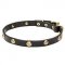'Stamped Studs' Leather Canine Collar with Brass Hardware