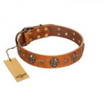 "Rockstar" FDT Artisan Tan Leather dog Collar with Engraved Studs and Medallions