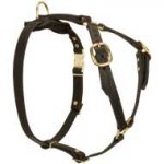 Light Weight Adjustable Leather Dog Harness for Tracking