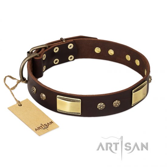"Rich Fashion" FDT Artisan Decorated Leather dog Collar with Plates and Studs - Click Image to Close