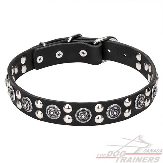 'Galactic Style' Leather Dog Collar with Silver-like Circles and Round Studs