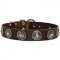 Wide Leather Dog Collar with Silver-like Circles