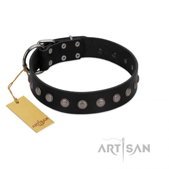"Silver Flower" Exclusive FDT Artisan Black Leather dog Collar with Silver-Like Studs