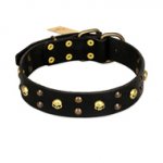 FDT Artisan 'Heavy Metal' Leather Dog Collar with Skulls and Studs 1 1/2 inch (40 mm)