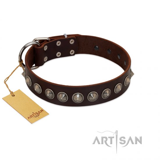 "Gothic Style" FDT Artisan Fancy Brown Leather dog Collar with Silver-Like Decorations