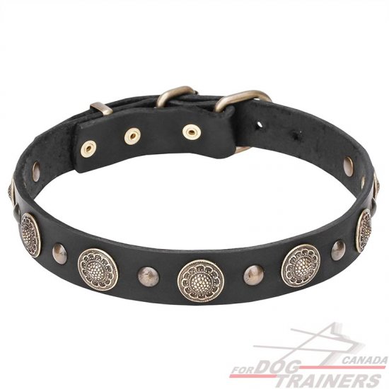 Leather Dog Collar "Magic Necklace" with Brass Circles and Studs - 1 1/5 inch (30 mm)