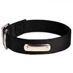 Personalized 2 Ply Nylon Dog Collar with ID Tag