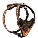 Handpainted Leather Dog Harness for Agitation / Attack Training
