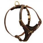 Padded Tracking Leather Dog Harness