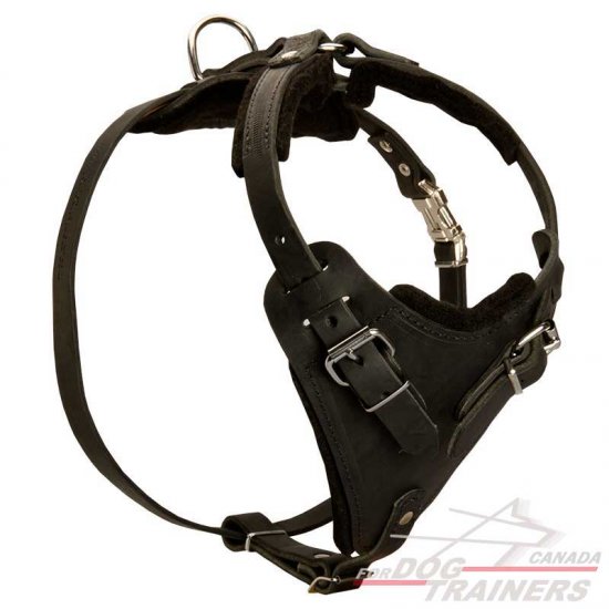 Leather training leashes for dogs outlet