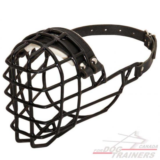 Padded Wire Basket Dog Muzzle for Winter Walking