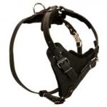Adjustable Leather Dog Harness for Attack / Agitation / Protection Training