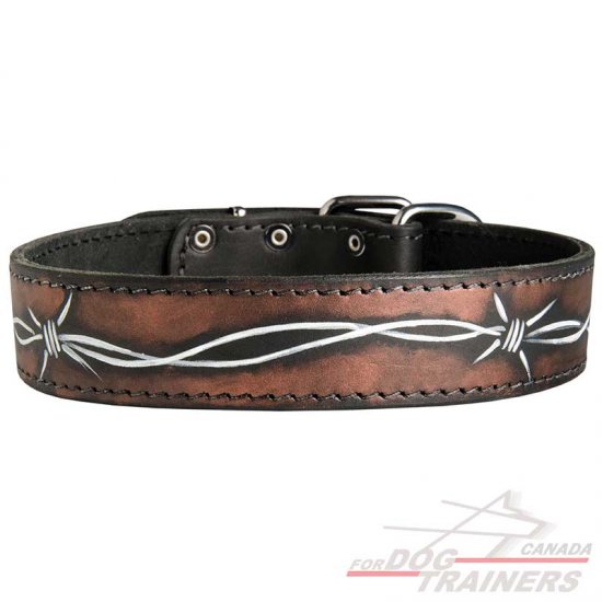 Fashion Handpainted Leather Dog Collar for Walking and Training