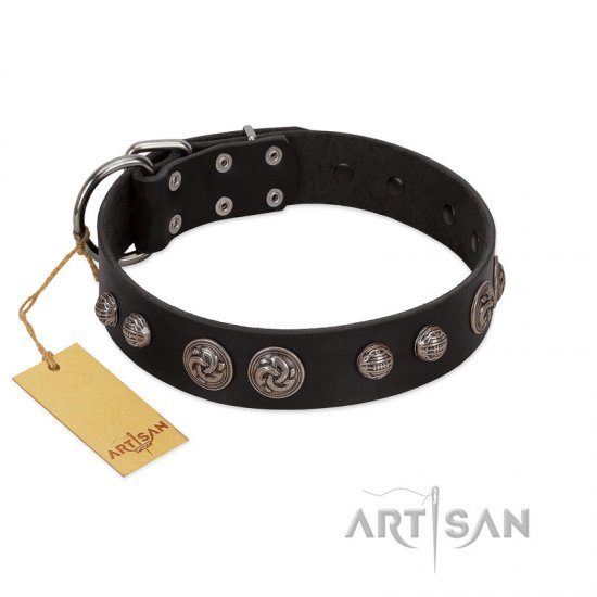"Tricky Ricky" FDT Artisan Black Leather dog Collar Adorned with Silver-Like Conchos