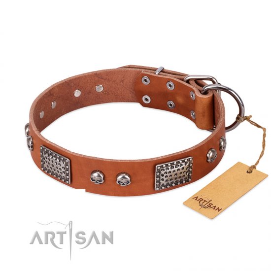 "Sparkling Skull" FDT Artisan Tan Leather dog Collar with Old Silver Look Plates and Skulls - Click Image to Close