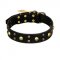 FDT Artisan 'Heavy Metal' Leather Dog Collar with Skulls and Studs 1 1/2 inch (40 mm)