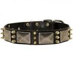 Unique Leather Dog Collar with Plates and Spikes