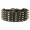3 inch Wide Spiked and Studded Leather Dog Collar