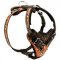 Handpainted Leather Dog Harness for Agitation / Attack Training